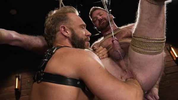 I Own Your Holes – Brogan, Jayson Parker